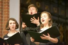 "Pulchra quia simplex"