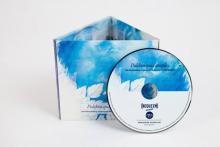 Pulchra quia simplex